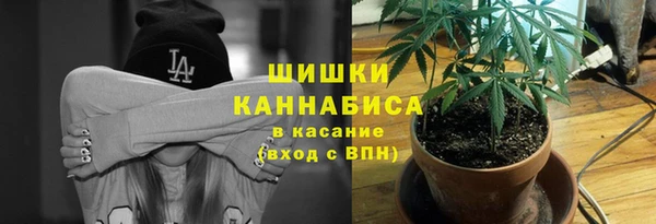 apvp Краснослободск