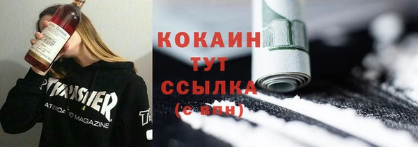 apvp Краснослободск