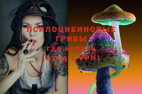 apvp Краснослободск
