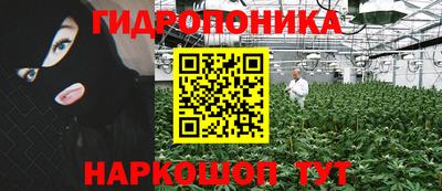 ГАЛЛЮЦИНОГЕННЫЕ ГРИБЫ Краснокаменск