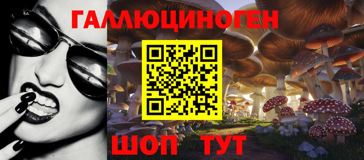 Галлюциногенные грибы мицелий  Галлюциногенные грибы Magic Shrooms  где можно купить наркотик  Самара  Вход с VPN 